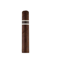 RoMa Craft Cromagon Aquitaine EMH Robusto a muscleman with heart