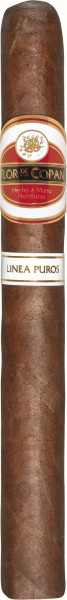 Flor de Copan Linea Puros Churchill with special variety and development